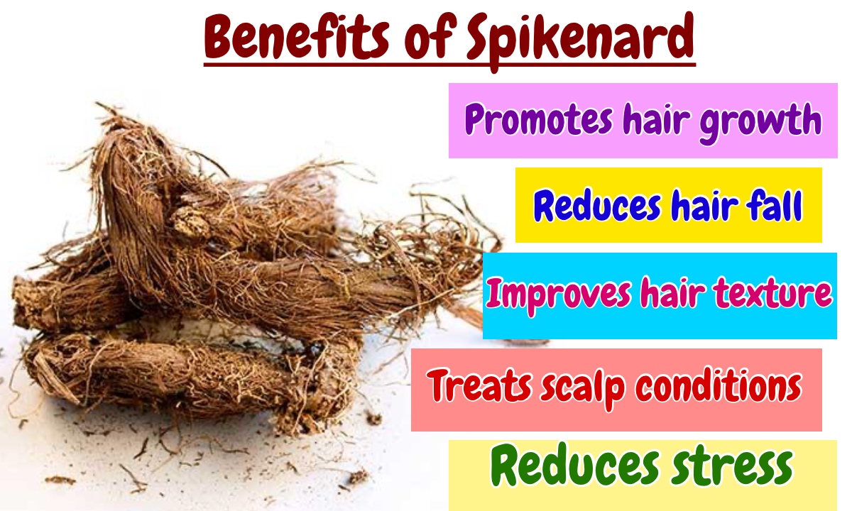 Benefits of Spikenard for Hair