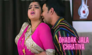 Bhojpuri Sensation Nirahua and Amrapali Viral Song Dhadak Jala Chhatiya Wins Hearts