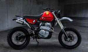 Enduro Dominator The Stunning Transformation of Honda NX650 EDNA