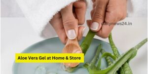 How to Make Aloe Vera Gel at Home A Store It Properly for Long-Lasting Freshness