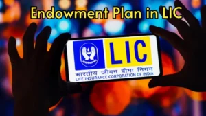 LIC Special Scheme: Putting Your Money Where It Safe