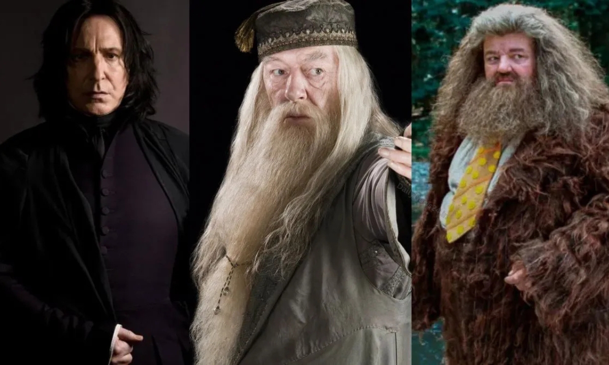 HBO New Harry Potter Series Reveals Cast for Dumbledore, Snape, and Hagrid