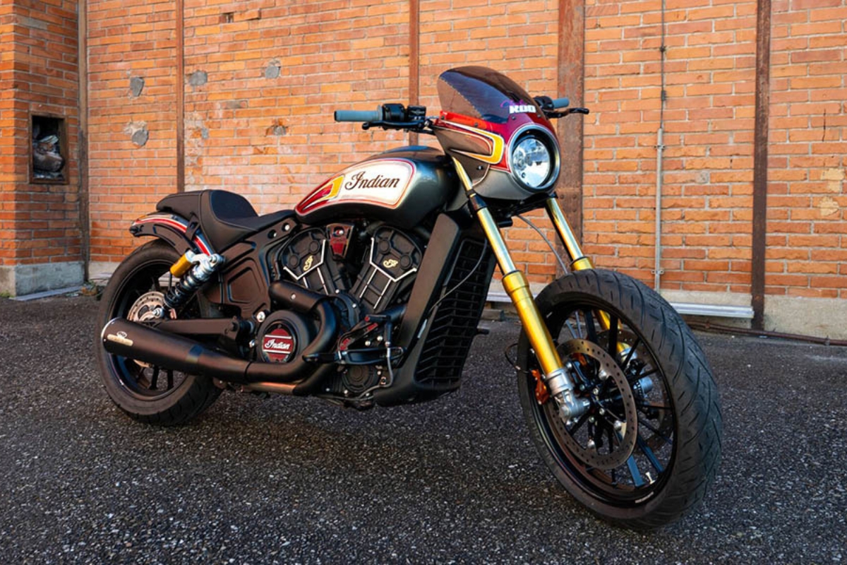 Indian Scout Rogue