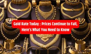 Gold Rate Today: Prices Continue to Fall, Here’s What You Need to Know