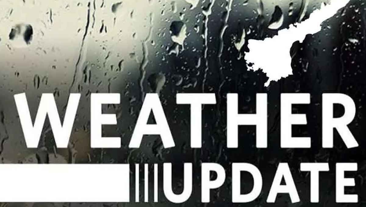 IMD Weather Update July 14-19: Heavy to Very Heavy Rainfall Expected Across India, Including Delhi-NCR