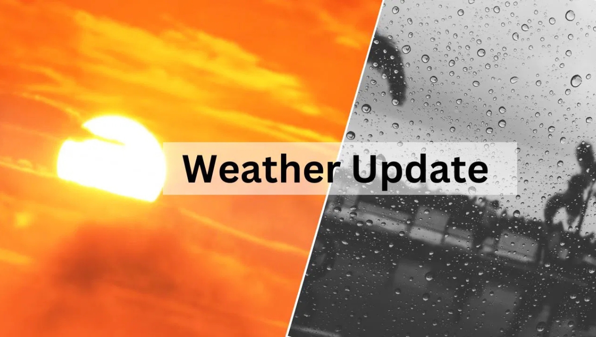 Weather Report: Heavy Rains Grip India, IMD Sounds Red Alert, Stay Alert And Stay Safe