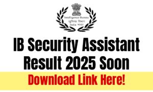 IB Security Assistant Result