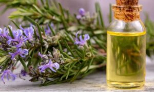 Rosemary Water for Hair